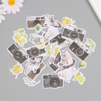 Наклейки для творчества "Коты, жёлтые цветы и фото" 3,5х5 см набор 40 шт 9,4х8,4х0,5 см Наклейки для творчества "Коты, жёлтые цветы и фото" 3,5х5 см набор 40 шт 9,4х8,4х0,5 см