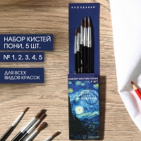 Кисть для рисования набор 5 шт. пони №1,2,3,4,5 «Ван Гог» Кисть для рисования набор 5 шт. пони №1,2,3,4,5 «Ван Гог»