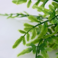 Букет "Нефролепис" 30 см, Букет "Нефролепис" 30 см,