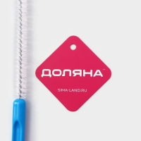 Ёршик для посуды узкий Доляна, 30,5&times;1,2 см, цвет МИКС