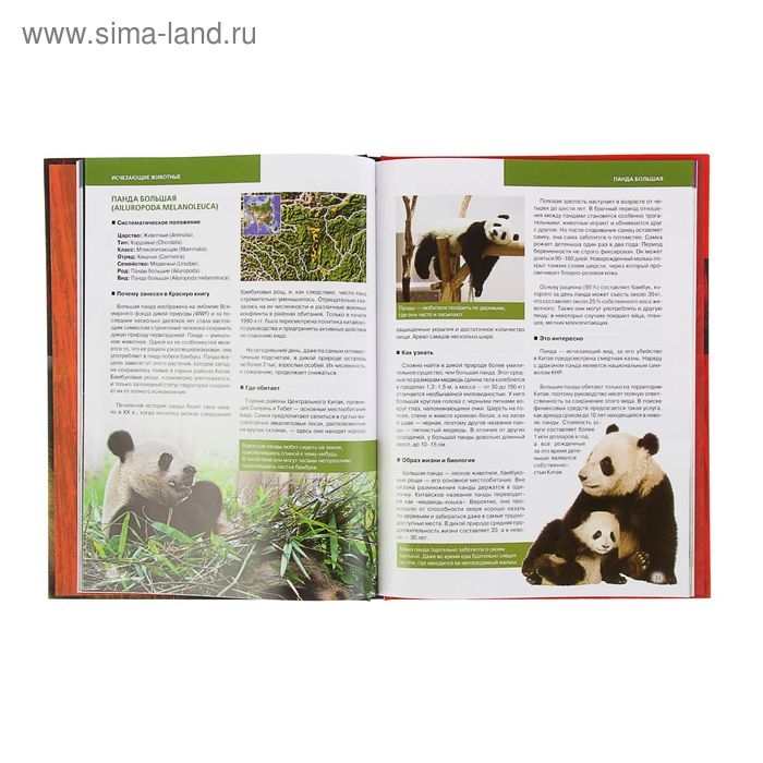 Красная книга &laquo;Животные мира&raquo;. Скалдина О. В., Слиж Е. А.