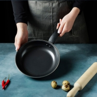 Сковорода «Жаклин», d=20 см, толщина 0,65 мм, пластиковая ручка, антипригарное покрытие, цвет чёрный Сковорода «Жаклин», d=20 см, толщина 0,65 мм, пластиковая ручка, антипригарное покрытие, цвет чёрный