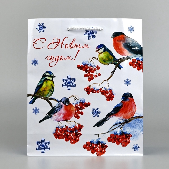 Пакет подарочный новогодний ламинированный &laquo;Снегири&raquo;, ML 21 х 25 х 8 см