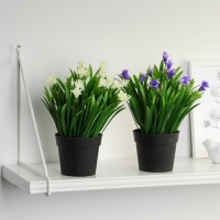 Бонсай в горшке "Гусмания и зелень" 9х18 см, микс Бонсай в горшке "Гусмания и зелень" 9х18 см, микс