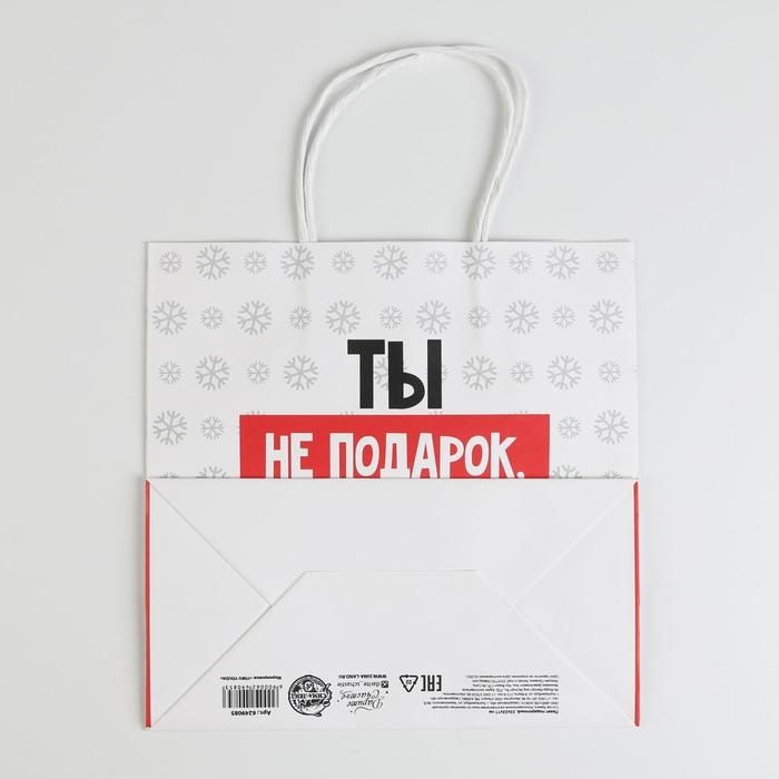 Пакет подарочный новогодний &laquo;Ты не подарок&raquo;, 22 х 22 х 11 см