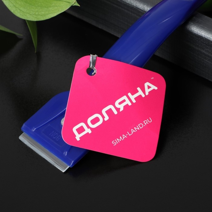 Скребок для стеклокерамики Доляна «Базис», 16 см, цвет МИКС Скребок для стеклокерамики Доляна «Базис», 16 см, цвет МИКС