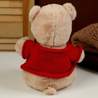 Мягкая игрушка &laquo;Мишка&raquo; в кофте, 25 см