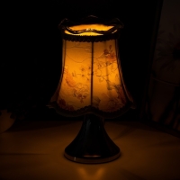 Аромасветильник сенсорный "Букет" G4 35Вт серебро 16,5х16,5х25 см RISALUX Аромасветильник сенсорный "Букет" G4 35Вт серебро 16,5х16,5х25 см RISALUX