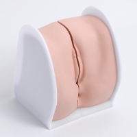 Макет "Вагина" разборный 19*13*17см Макет "Вагина" разборный 19*13*17см