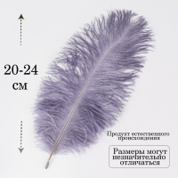 Перо для декора 1 шт., размер 24 см, цвет серый Перо для декора 1 шт., размер 24 см, цвет серый