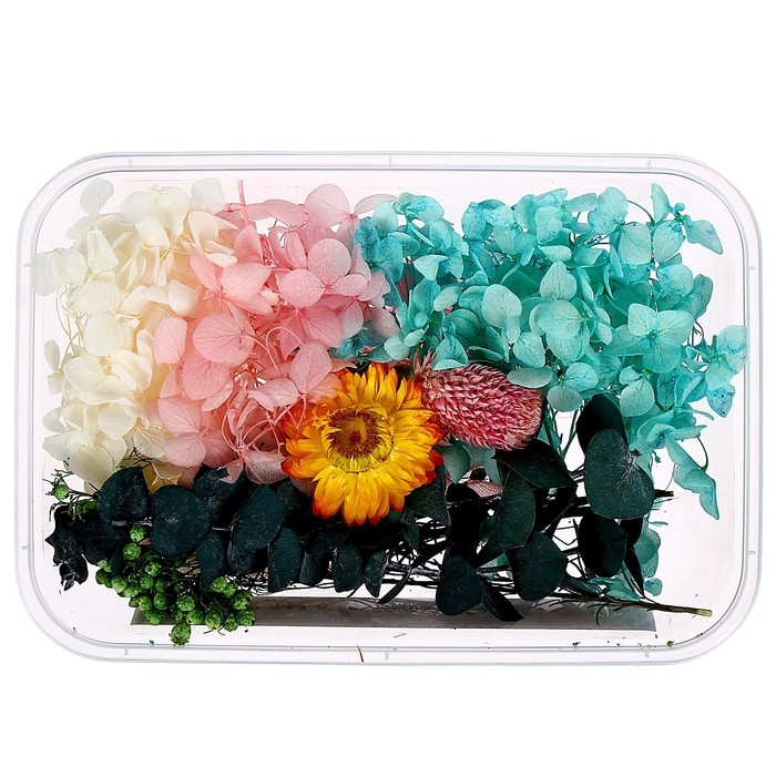 Набор для творчества «Набор сухоцветов», большой, розовый, жёлтый, голубой, зелёный Набор для творчества «Набор сухоцветов», большой, розовый, жёлтый, голубой, зелёный