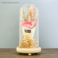 Ночник "Колба с розой в букете" LED 3ААА МИКС 23х11х11 см RISALUX Ночник "Колба с розой в букете" LED 3ААА МИКС 23х11х11 см RISALUX