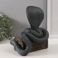 Копилка"КОБРА НА СУНДУКЕ " 20 х 17 х 12 см. Копилка"КОБРА НА СУНДУКЕ " 20 х 17 х 12 см.