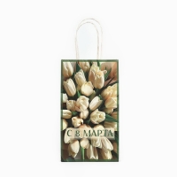 Пакет подарочный крафт «8 марта», тюльпаны 12 × 21 × 9 см Пакет подарочный крафт «8 марта», тюльпаны 12 × 21 × 9 см