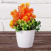 Бонсай в горшке "Азалия" 6х15 см, микс