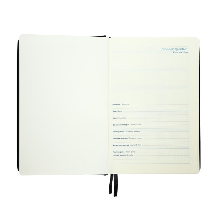 Ежедневник 2025 года A5, 168 листов в линейку, кожзам "Небраска", серебряный срез, черный