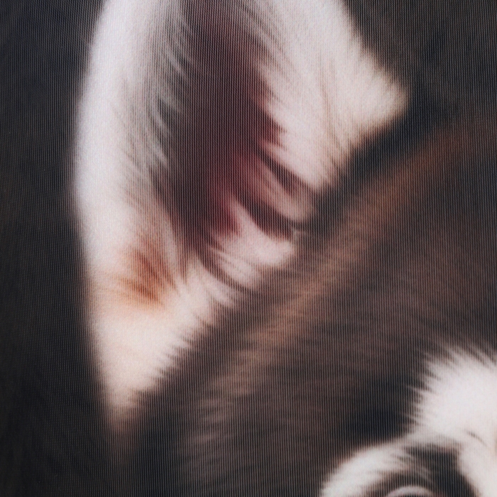 Подушка антистресс, собака Подушка антистресс, собака "Хаски"