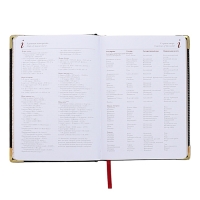 Ежедневник недатированный А5+, 136 листов Sidney Nebraska, твёрдая обложка, искусственная кожа, золотой срез, золотые уголки, чёрный