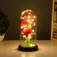 Ночник колба &laquo;Гвоздики&raquo; LED красный 3хААА 10,5х10,5х22см