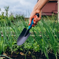 Набор садового инструмента Greengo, 2 предмета: мотыжка, совок, длина 31 см, пластиковые ручки Набор садового инструмента Greengo, 2 предмета: мотыжка, совок, длина 31 см, пластиковые ручки