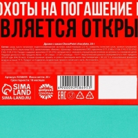 Драже шоколадное &laquo;Ипотека погасин&raquo;, 20 г.