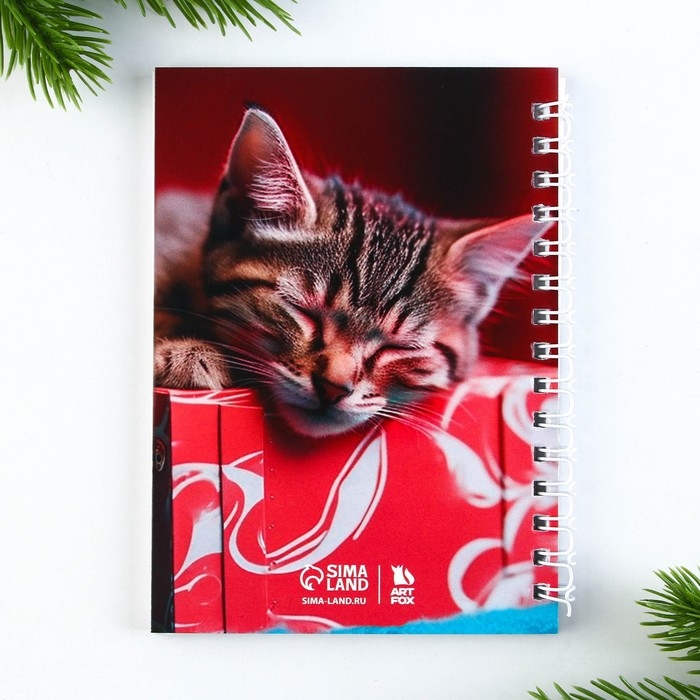 Подарочный набор новогодний, блокнот на спирали А6, 60листов и магнитные закладки 2 шт. &laquo;Я твой подарочек&raquo;