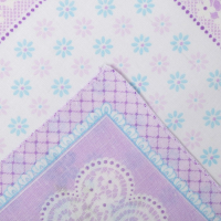 Платки носовые женские Этель "Нежность" 30*30 см, (набор 12 шт), рис. МИКС,100% хл Платки носовые женские Этель "Нежность" 30*30 см, (набор 12 шт), рис. МИКС,100% хл