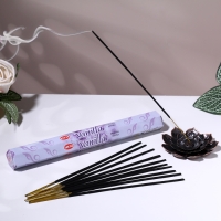 Благовония HEM "Жаба на деньгах. Three Legged Frog", 20 палочек в упаковке, шестигранник Благовония HEM "Жаба на деньгах. Three Legged Frog", 20 палочек в упаковке, шестигранник