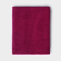 Тряпка для пола Доляна, 220 г/м², 80×100 см, микрофибра, с оверлоком, цвет МИКС Тряпка для пола Доляна, 220 г/м², 80×100 см, микрофибра, с оверлоком, цвет МИКС