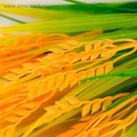 Букет "Колосок" 36 см Букет "Колосок" 36 см