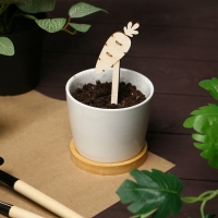 Таблички садовые для маркировки, 12 см, набор 8 шт., дерево, «Морковь», Greengo Таблички садовые для маркировки, 12 см, набор 8 шт., дерево, «Морковь», Greengo