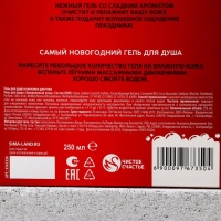 Подарочный набор косметики «С Новым Годом!», гель для душа 250 мл и мочалка для тела, ЧИСТОЕ СЧАСТЬЕ Подарочный набор косметики «С Новым Годом!», гель для душа 250 мл и мочалка для тела, ЧИСТОЕ СЧАСТЬЕ