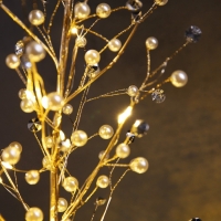 Светодиодный куст &laquo;Бусины&raquo; 55 &times; 30 &times; 3 см, 20 LED, постоянное свечение, от батареек CR2032х2 (в комплекте), свечение тёплое белое