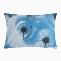 Наволочка Этель 50*70см "Одуванчики", 100% хлопок, бязь, 125 г/м² Наволочка Этель 50*70см "Одуванчики", 100% хлопок, бязь, 125 г/м²