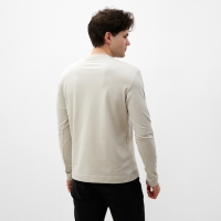 Лонгслив мужской MIST Men's casual размер 48, серо-бежевый