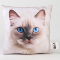 Подушка антистресс, кот "Рэгдолл"