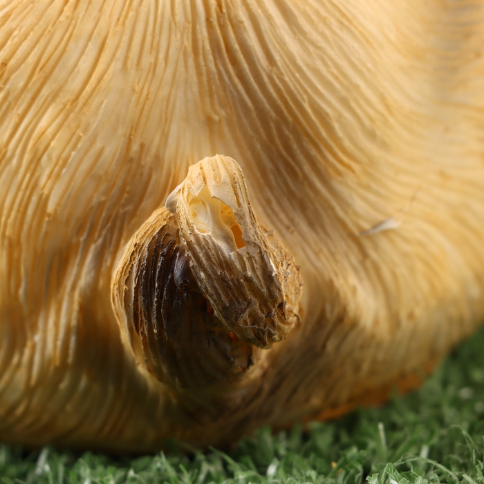 Садовая фигура Садовая фигура "Мопс" 13х11х19см ///