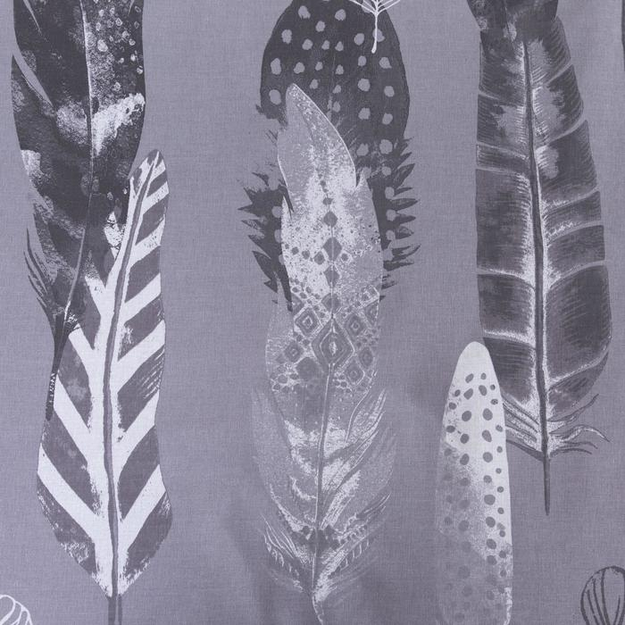 Постельное бельё Этель 1.5 сп &laquo;Перья&raquo; (вид 2) 143х215 см, 150х214 см, 70х70 см 2 шт,поплин 125 г/м2