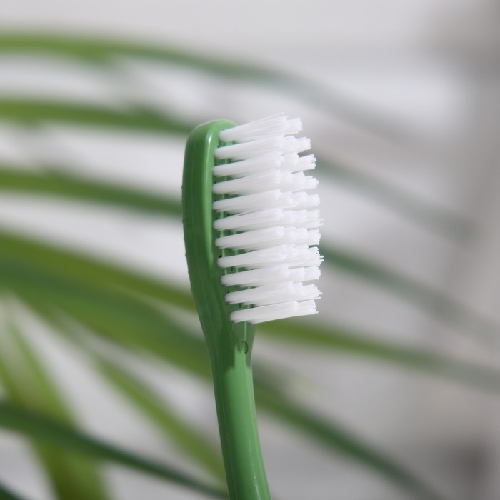 Набор зубных щеток 4 шт. Набор зубных щеток 4 шт.