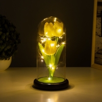 Ночник колба «Тюльпаны» LED 3хААА желтый 10,5х10,5х22см Ночник колба «Тюльпаны» LED 3хААА желтый 10,5х10,5х22см