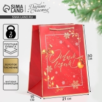 Пакет подарочный новогодний ламинированный &laquo;Вера в чудеса&raquo;, 21 х 30 х 15 см, Новый год