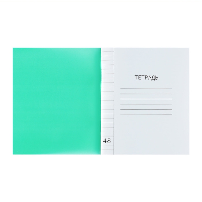Тетрадь 48 листов в линию Calligrata Тетрадь 48 листов в линию Calligrata "Зелёная", пластиковая обложка, с алфавитом, блок офсет