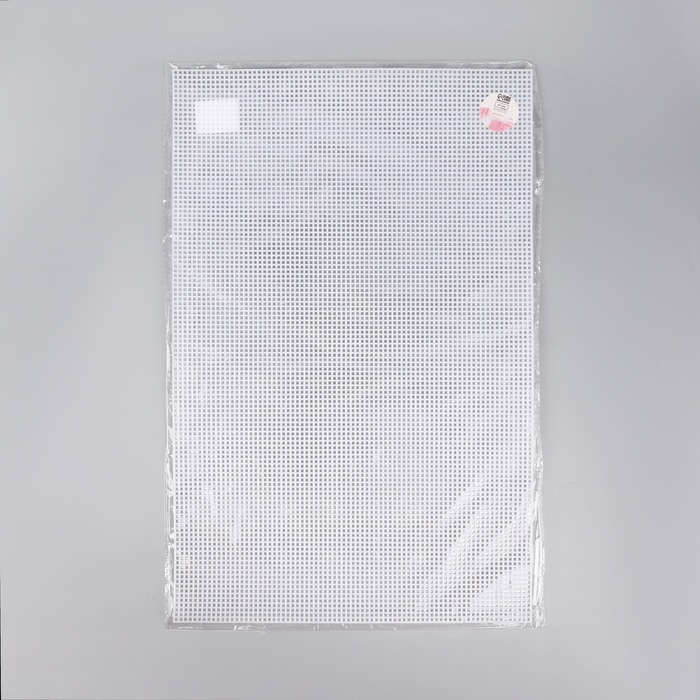 Канва для вышивания №5, пластиковая, 50 × 33 см, цвет белый Канва для вышивания №5, пластиковая, 50 × 33 см, цвет белый