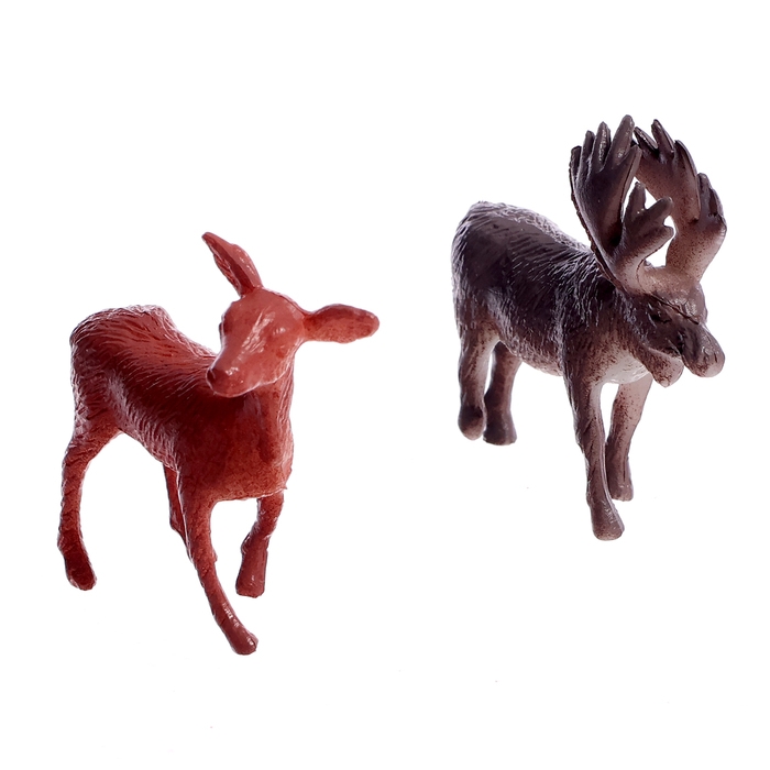 Набор фигурок животных &laquo;Удивительный мир&raquo;, 12 предметов