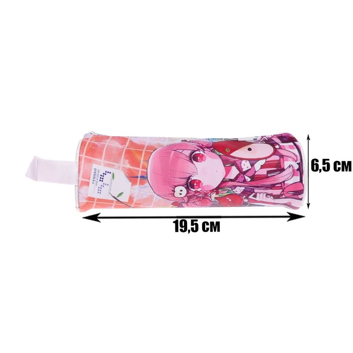 Пенал-тубус школьный на молнии Пенал-тубус школьный на молнии "Аниме", МИКС