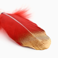 Родословная новогодняя книга с пером в шкатулке «Новый год: Любви, счастья и уюта», 26 х 8 х 27 см, набор Родословная новогодняя книга с пером в шкатулке «Новый год: Любви, счастья и уюта», 26 х 8 х 27 см, набор