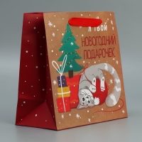 Пакет подарочный новогодний крафтовый квадратный &laquo;Подарочек&raquo;, 22 х 22 х 11 см, Новый год