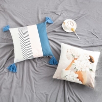 Наволочка декоративная Этель &laquo;Перо&raquo; 40х40 см, 100% п/э, велюр