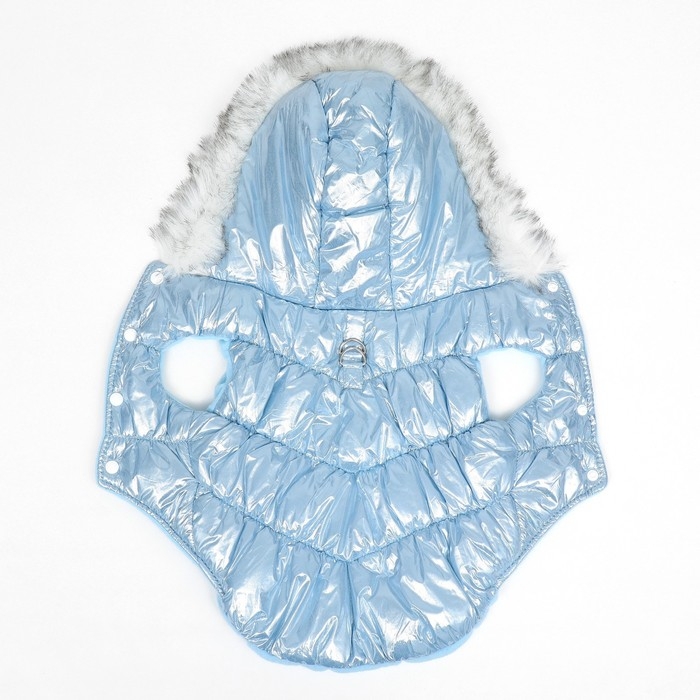 Куртка для собак Куртка для собак "Легкость", размер XL (ДС 39, ОГ 53, ОШ 39 см, до 14 кг), голубая