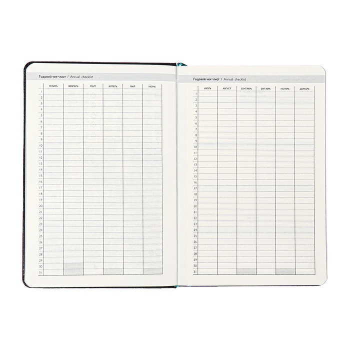 Ежедневник недатированный ESCALADA А5, 160 листов, твердая обложка, искуственная кожа, блок, тиснение, блок 70г/м2, чёрный